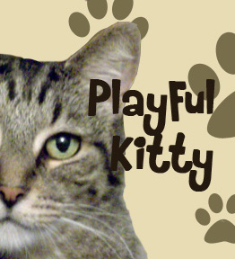 Playful Kitty Logo 2